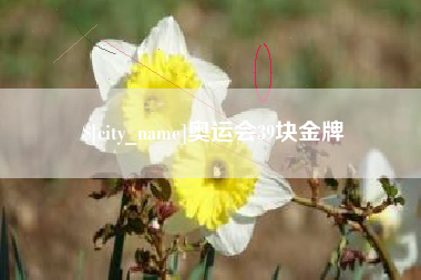 沈阳奥运会39块金牌