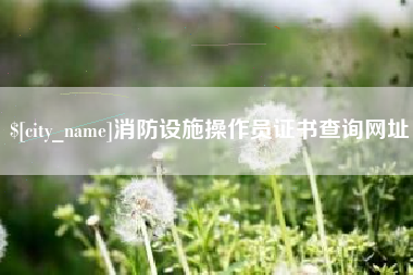 沈阳消防设施操作员证书查询网址