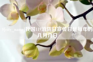 沈阳我国119消防日宣传日是每年的几月几日