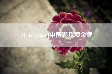 沈阳中国哪几项金牌
