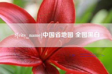 沈阳中国省地图 全图黑白