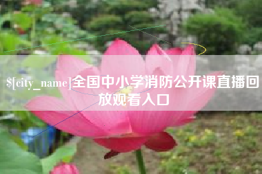 沈阳全国中小学消防公开课直播回放观看入口