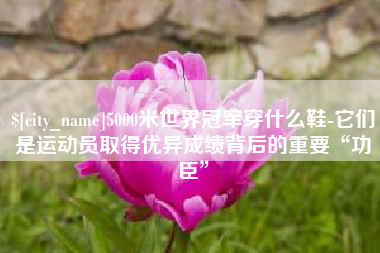 沈阳5000米世界冠军穿什么鞋-它们是运动员取得优异成绩背后的重要“功臣”
