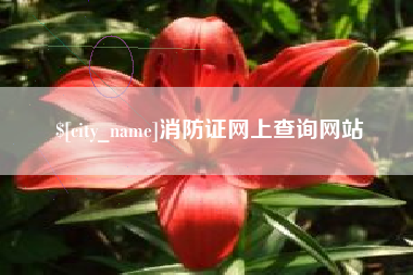 沈阳消防证网上查询网站