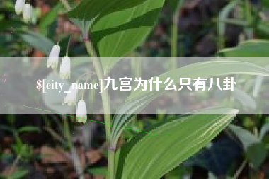 沈阳九宫为什么只有八卦