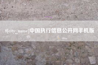 沈阳中国执行信息公开网手机版