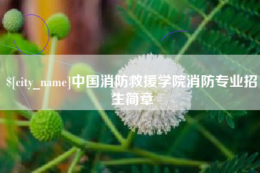 沈阳中国消防救援学院消防专业招生简章
