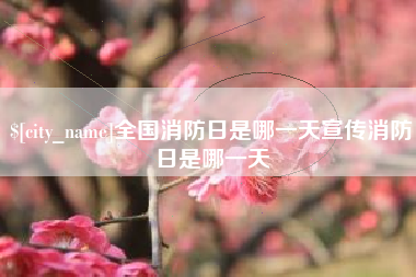 沈阳全国消防日是哪一天宣传消防日是哪一天