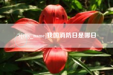 沈阳我国消防日是哪日