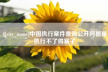 沈阳中国执行案件查询公开网都是执行不了得案子