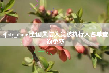 沈阳全国失信人员被执行人名单查询免费