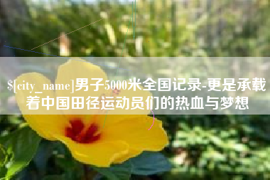 沈阳男子5000米全国记录-更是承载着中国田径运动员们的热血与梦想