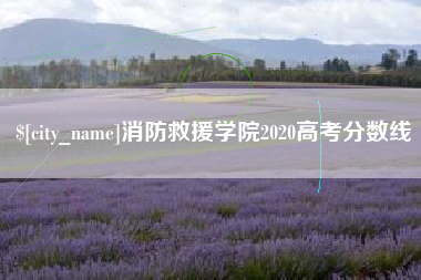 沈阳消防救援学院2020高考分数线