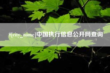 沈阳中国执行信息公开网查询