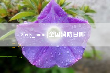 沈阳全国消防日哪一