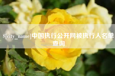 沈阳中国执行公开网被执行人名单查询
