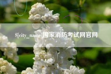 沈阳国家消防考试网官网