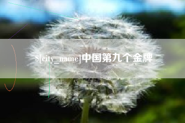 沈阳中国第九个金牌