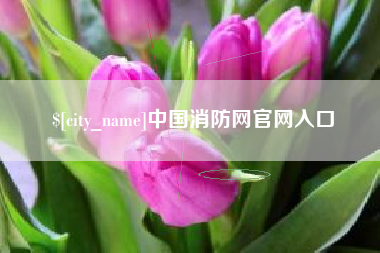 沈阳中国消防网官网入口