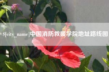 沈阳中国消防救援学院地址路线图