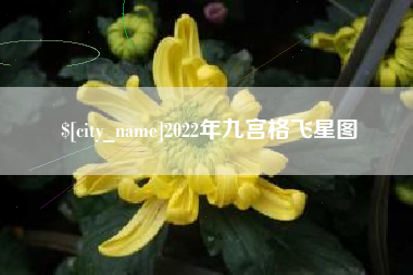 沈阳2022年九宫格飞星图