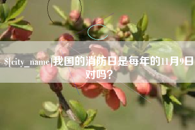沈阳我国的消防日是每年的11月9日对吗？