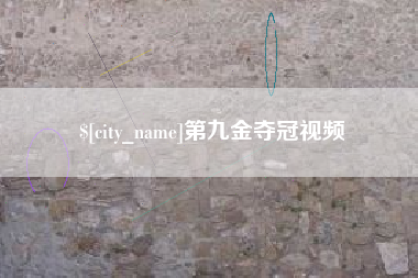 沈阳第九金夺冠视频