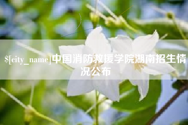 沈阳中国消防救援学院湖南招生情况公布