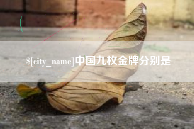 沈阳中国九枚金牌分别是
