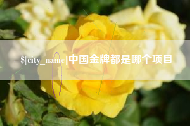 沈阳中国金牌都是哪个项目