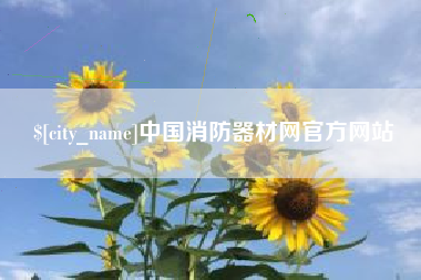 沈阳中国消防器材网官方网站