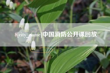 沈阳中国消防公开课回放