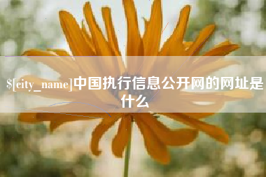沈阳中国执行信息公开网的网址是什么