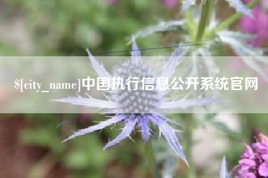 沈阳中国执行信息公开系统官网