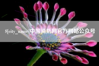 沈阳中国消防网官方网站公众号