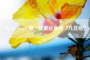 沈阳第一波奥运金牌“九宫格”