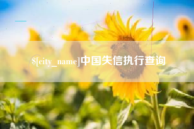 沈阳中国失信执行查询