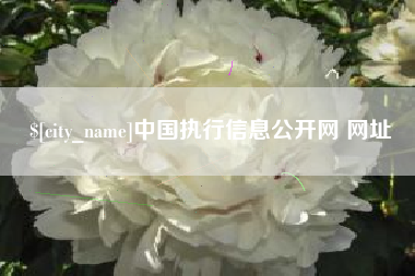 沈阳中国执行信息公开网 网址