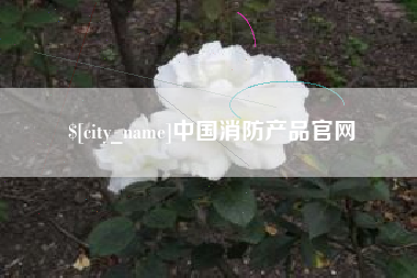 沈阳中国消防产品官网