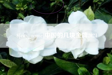 沈阳中国的几块金牌2021