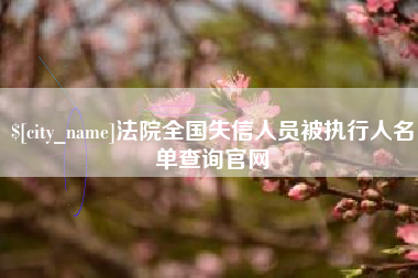 沈阳法院全国失信人员被执行人名单查询官网