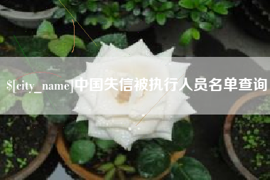 沈阳中国失信被执行人员名单查询