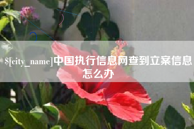 沈阳中国执行信息网查到立案信息怎么办