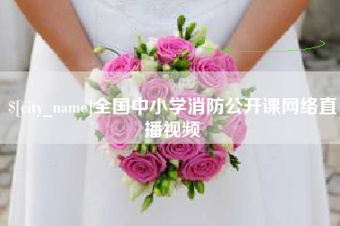 沈阳全国中小学消防公开课网络直播视频