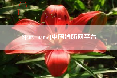 沈阳中国消防网平台