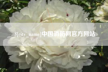 沈阳中国消防网官方网站
