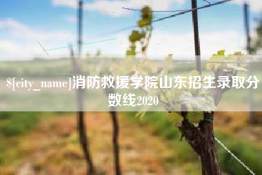 沈阳消防救援学院山东招生录取分数线2020