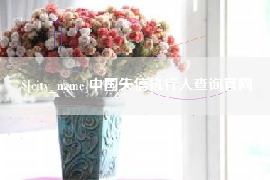沈阳中国失信执行人查询官网