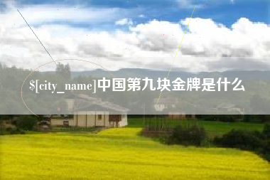 沈阳中国第九块金牌是什么