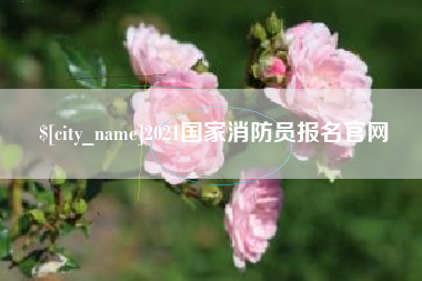 沈阳2021国家消防员报名官网